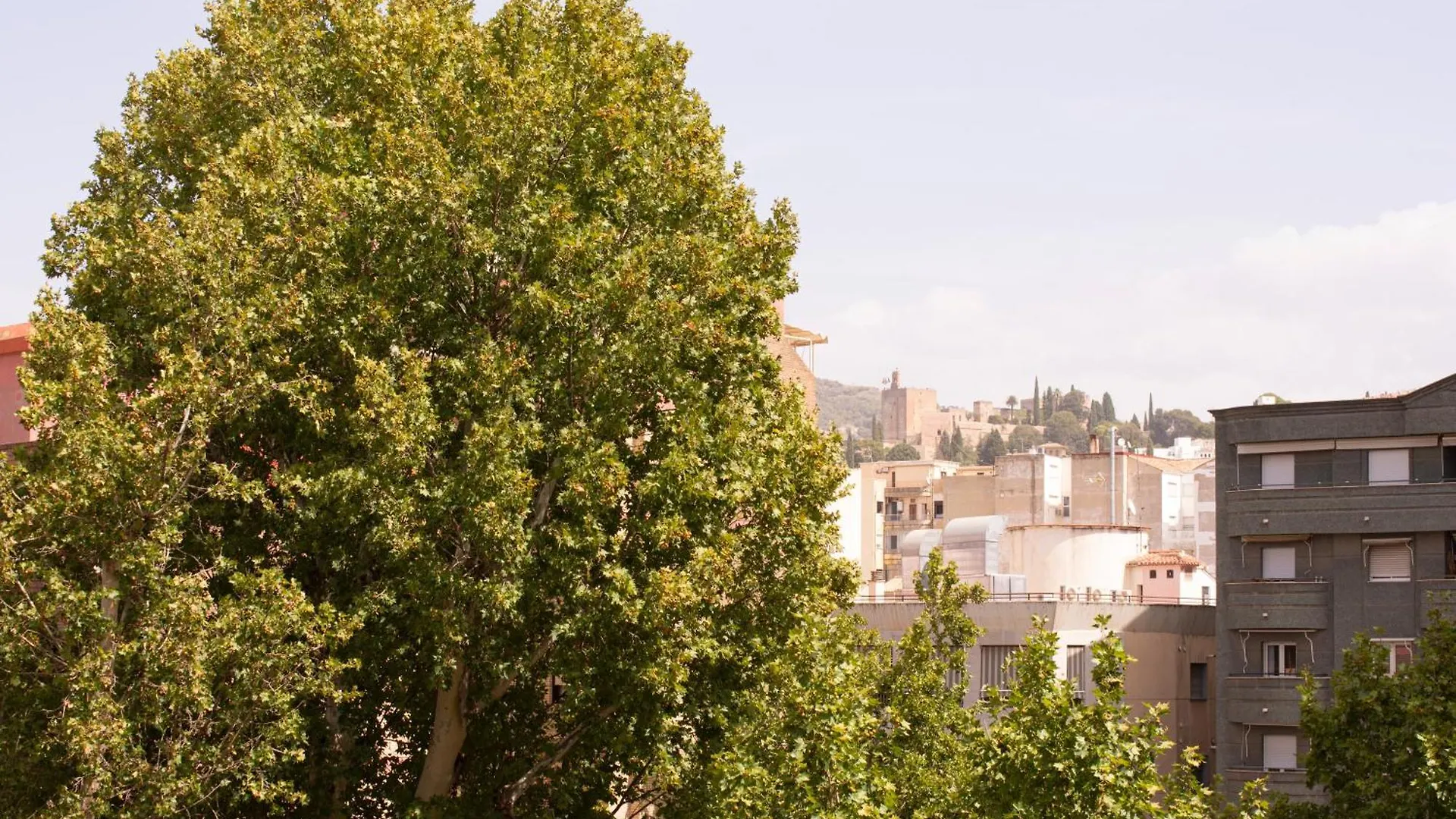 Apartamentos Centro Granada Spain